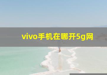 vivo手机在哪开5g网