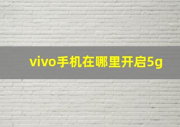 vivo手机在哪里开启5g