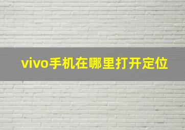 vivo手机在哪里打开定位