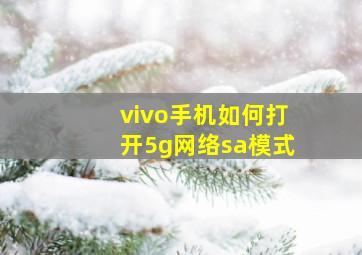 vivo手机如何打开5g网络sa模式