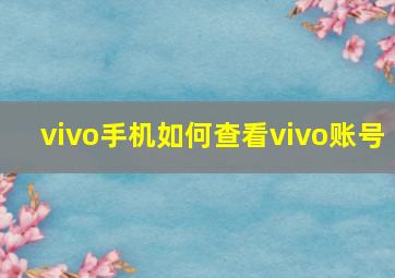 vivo手机如何查看vivo账号