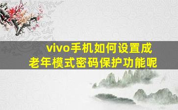 vivo手机如何设置成老年模式密码保护功能呢