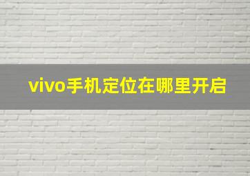 vivo手机定位在哪里开启