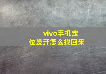 vivo手机定位没开怎么找回来