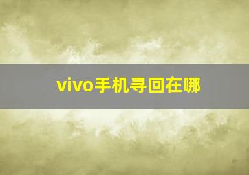 vivo手机寻回在哪