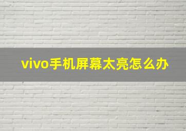 vivo手机屏幕太亮怎么办