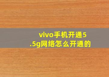 vivo手机开通5.5g网络怎么开通的