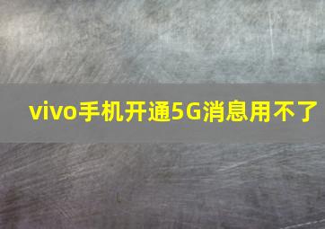 vivo手机开通5G消息用不了