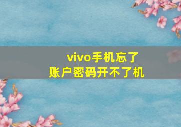 vivo手机忘了账户密码开不了机