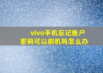 vivo手机忘记账户密码可以刷机吗怎么办