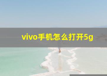 vivo手机怎么打开5g