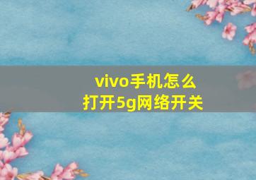 vivo手机怎么打开5g网络开关