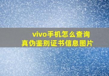 vivo手机怎么查询真伪鉴别证书信息图片