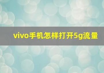 vivo手机怎样打开5g流量