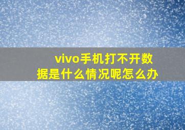 vivo手机打不开数据是什么情况呢怎么办