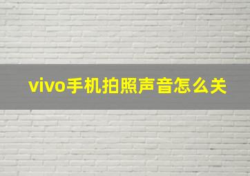 vivo手机拍照声音怎么关