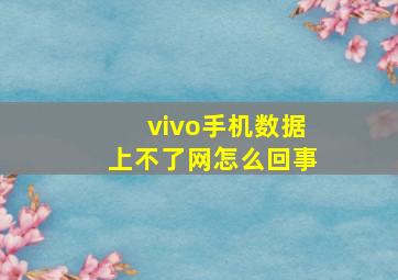 vivo手机数据上不了网怎么回事