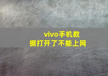 vivo手机数据打开了不能上网