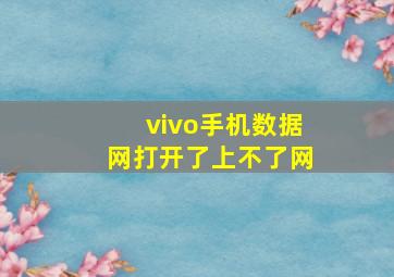 vivo手机数据网打开了上不了网