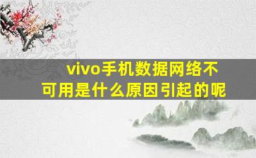 vivo手机数据网络不可用是什么原因引起的呢