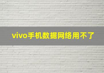 vivo手机数据网络用不了