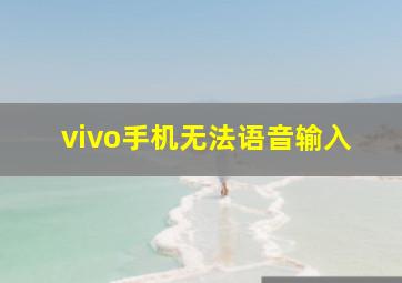 vivo手机无法语音输入