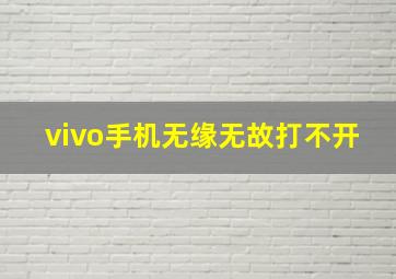 vivo手机无缘无故打不开