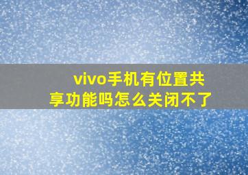 vivo手机有位置共享功能吗怎么关闭不了