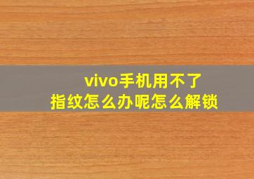 vivo手机用不了指纹怎么办呢怎么解锁