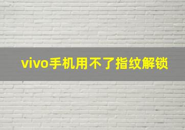 vivo手机用不了指纹解锁