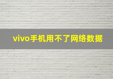 vivo手机用不了网络数据