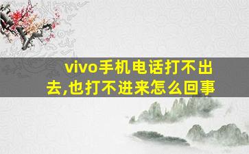 vivo手机电话打不出去,也打不进来怎么回事