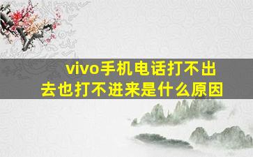 vivo手机电话打不出去也打不进来是什么原因