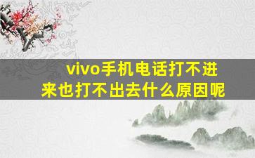 vivo手机电话打不进来也打不出去什么原因呢