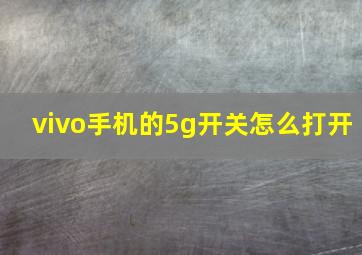 vivo手机的5g开关怎么打开