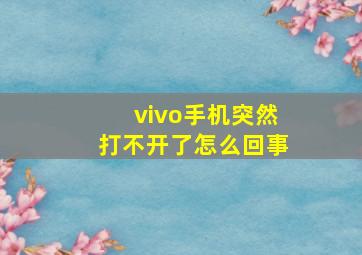 vivo手机突然打不开了怎么回事