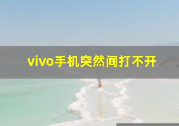 vivo手机突然间打不开