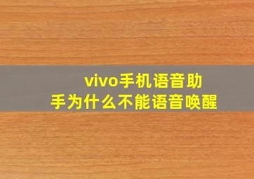 vivo手机语音助手为什么不能语音唤醒