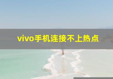 vivo手机连接不上热点