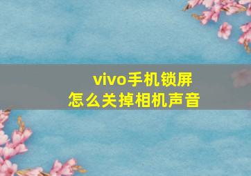 vivo手机锁屏怎么关掉相机声音