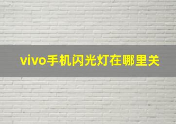 vivo手机闪光灯在哪里关