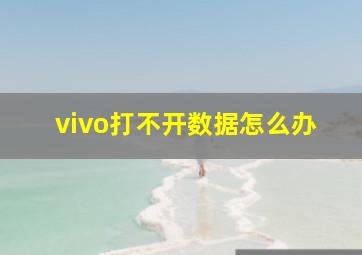 vivo打不开数据怎么办