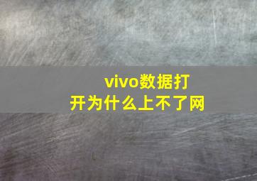 vivo数据打开为什么上不了网