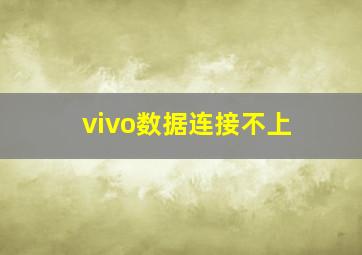 vivo数据连接不上