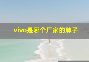 vivo是哪个厂家的牌子