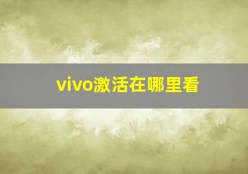 vivo激活在哪里看