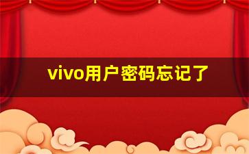 vivo用户密码忘记了