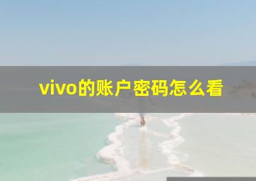 vivo的账户密码怎么看