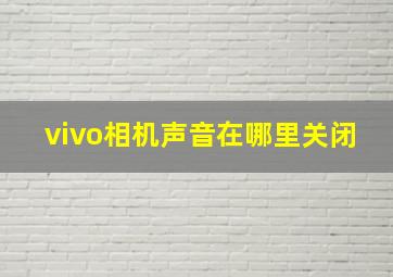 vivo相机声音在哪里关闭