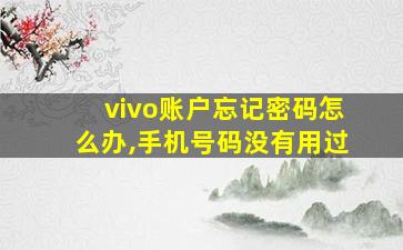 vivo账户忘记密码怎么办,手机号码没有用过